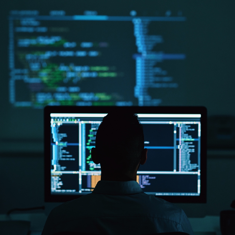 Website Design and Development